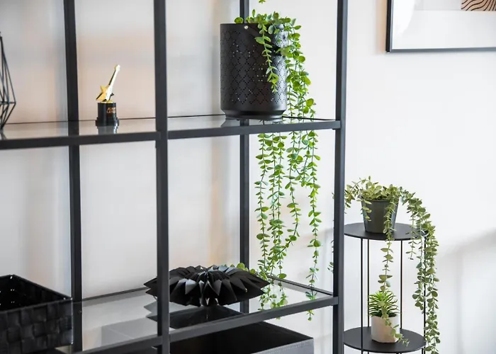 Appartement Location - Walk To The Beach, Shops & Dining Playa de las Américas